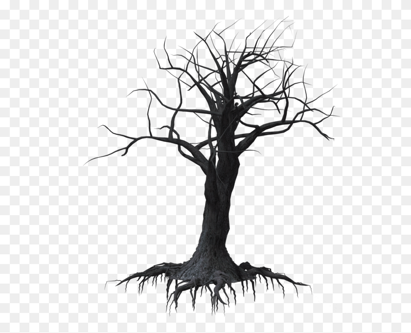 605x621 Dark Vector Creepy Forest Spooky Tree Transparent Background, Plant, Root HD PNG Download