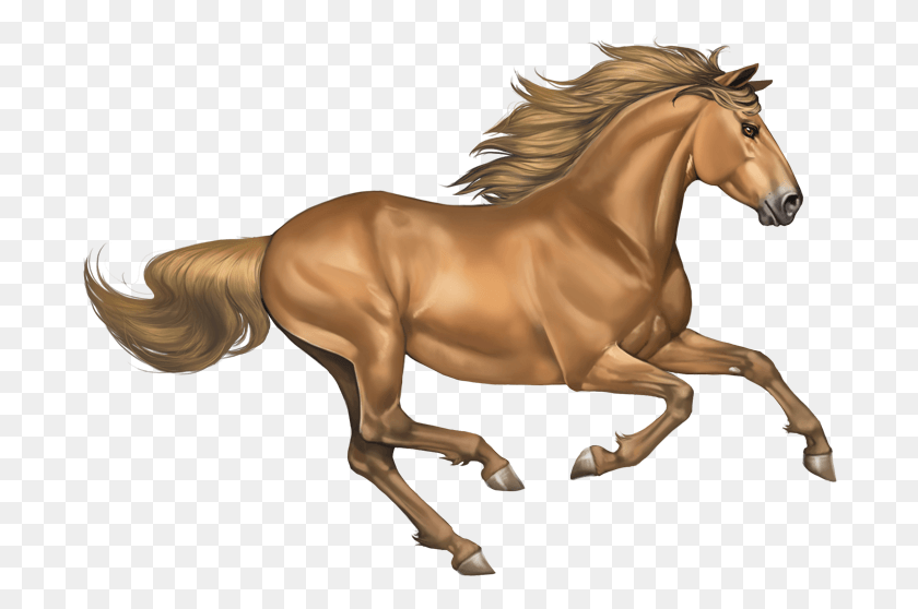 694x498 Темное Золото Шампанское Мустанг Лошадь, Лошадь, Млекопитающее, Животное Hd Png Скачать