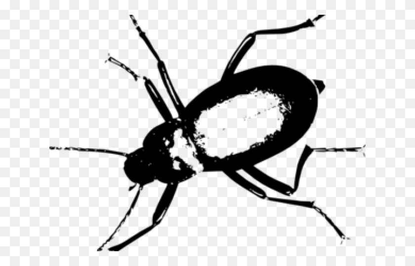 640x480 Darkling Beetle, Gray, World Of Warcraft HD PNG Download