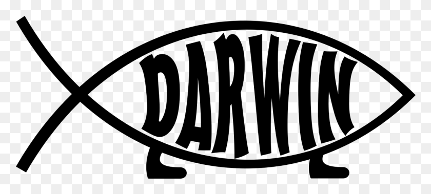 1238x507 Рыба Дарвина Символ Дарвина, Серый, World Of Warcraft Hd Png Скачать