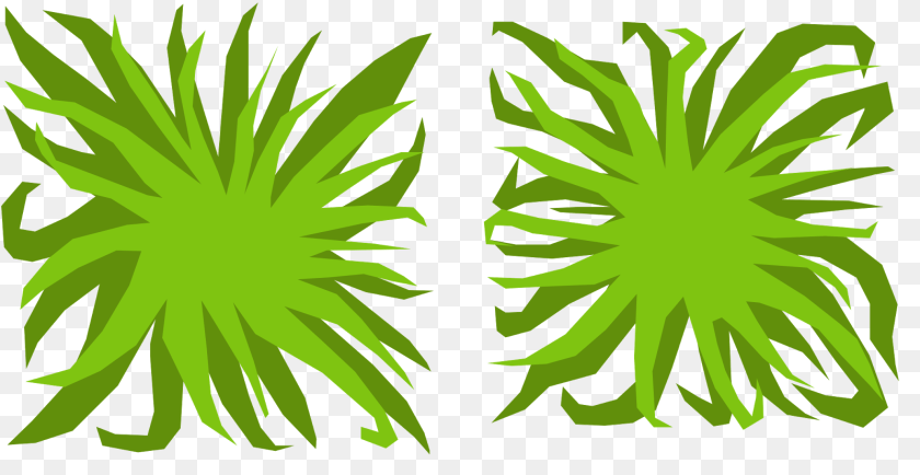 Daryl Marsh Cgi Landscape For Teaching Maya Part Ii Simple, Green, Leaf, Plant, Art Clipart PNG
