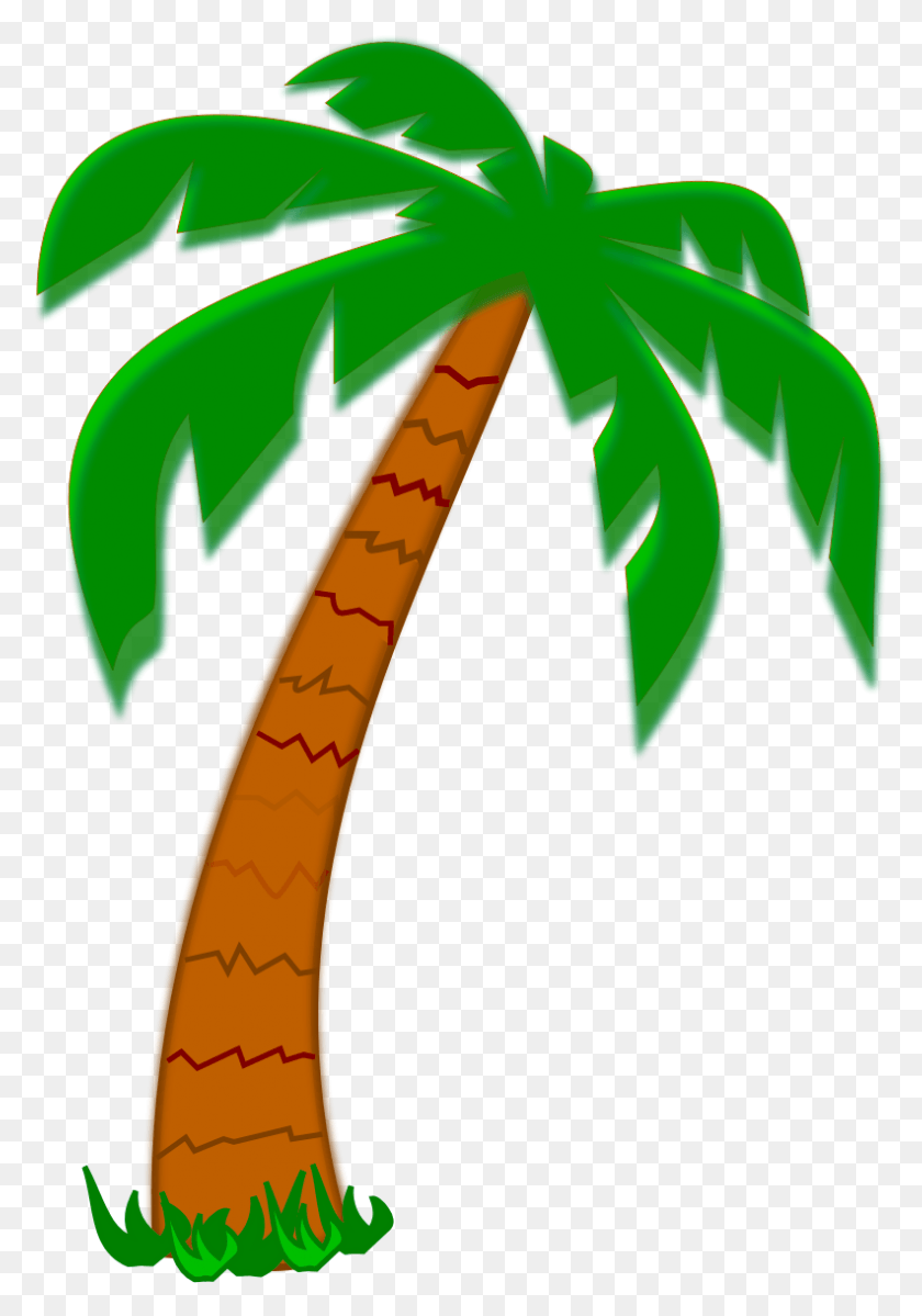 792x1157 Date Palm Tree Clipart Date Palm Tree Drawing, Plant, Green, Tree HD PNG Download