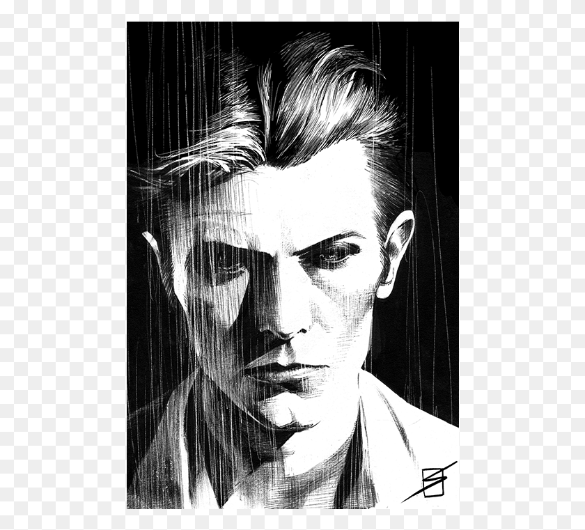 478x701 David Bowie In Memoriam Sketch, Head, Face, Person HD PNG Download