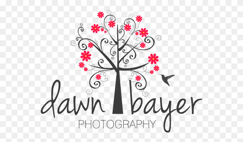 565x432 Dawn Bayer Photography Logo Graphic Design, Graphics, Floral Design HD PNG Download