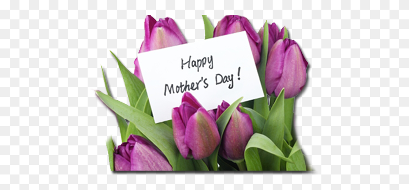473x332 Day Is May 13th Happy Mother39s Day Flowers, Plant, Flower, Blossom HD PNG Download