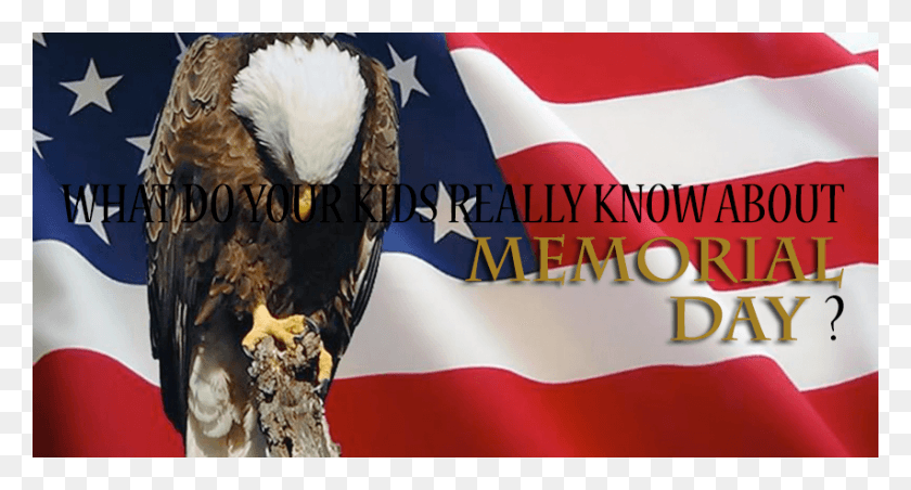 854x430 Day Memorial, Flag, Symbol, American Flag HD PNG Download