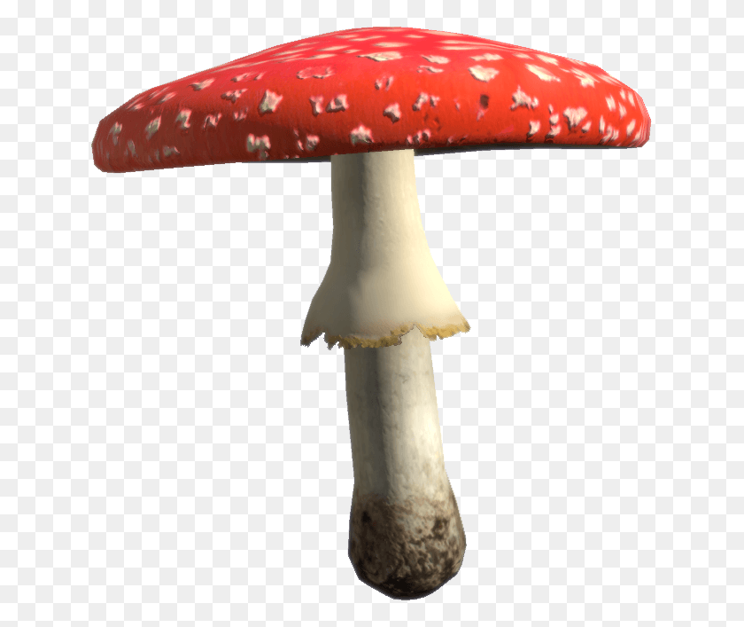 633x647 Dayz Mushrooms, Plant, Amanita, Agaric HD PNG Download
