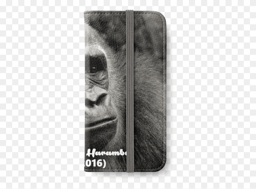 308x561 Dcks Out For Harambe Gorilla, Обезьяна, Дикая Природа, Млекопитающее Png Скачать