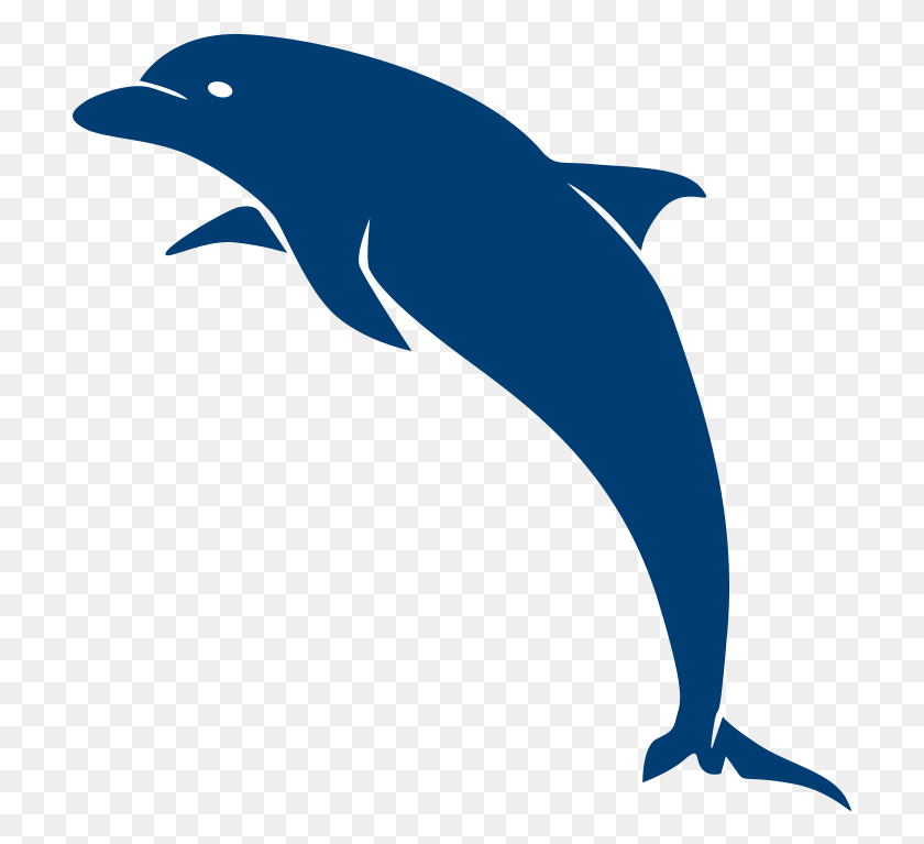 708x707 Dds Против Дельфинов Обыкновенный Афалина, Морская Жизнь, Животное, Млекопитающее Hd Png Скачать