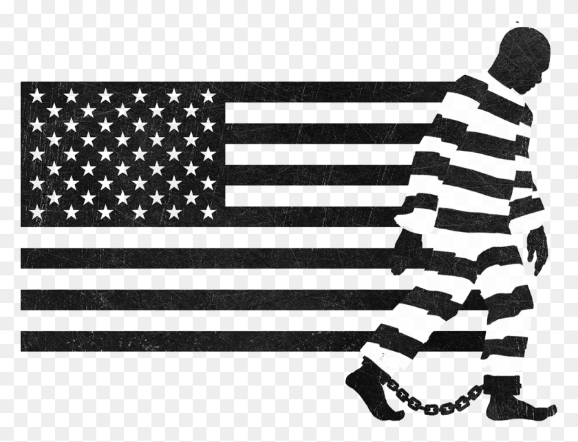 1125x840 De Nj Nlg Prisoners39 Legal Advocacy Network Mounts Slave To Criminal With One Amendment, Zebra, Wildlife, Mammal HD PNG Download