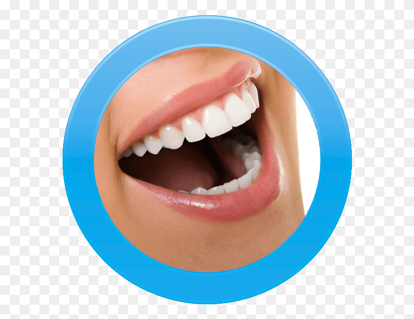 588x589 De Sonrisa Dentistry, Teeth, Mouth, Lip HD PNG Download