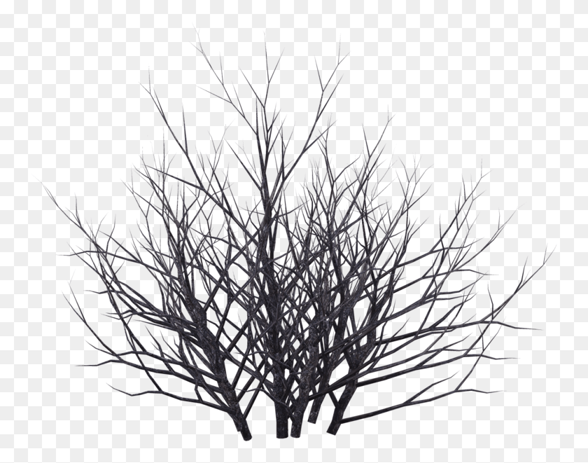 753x601 Dead Bush, Nature, Outdoors, Tree HD PNG Download