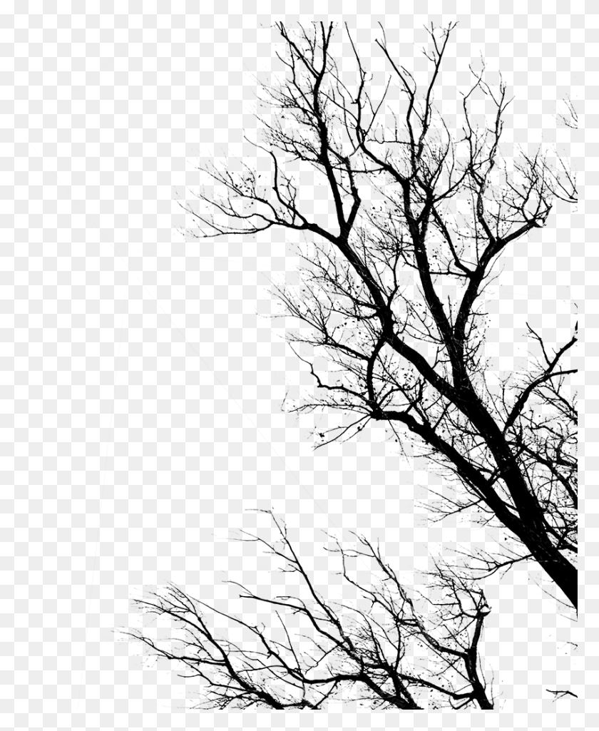 848x1050 Dead By Daylight Youtube Theme Dead By Daylight Trees, Gray, World Of Warcraft HD PNG Download