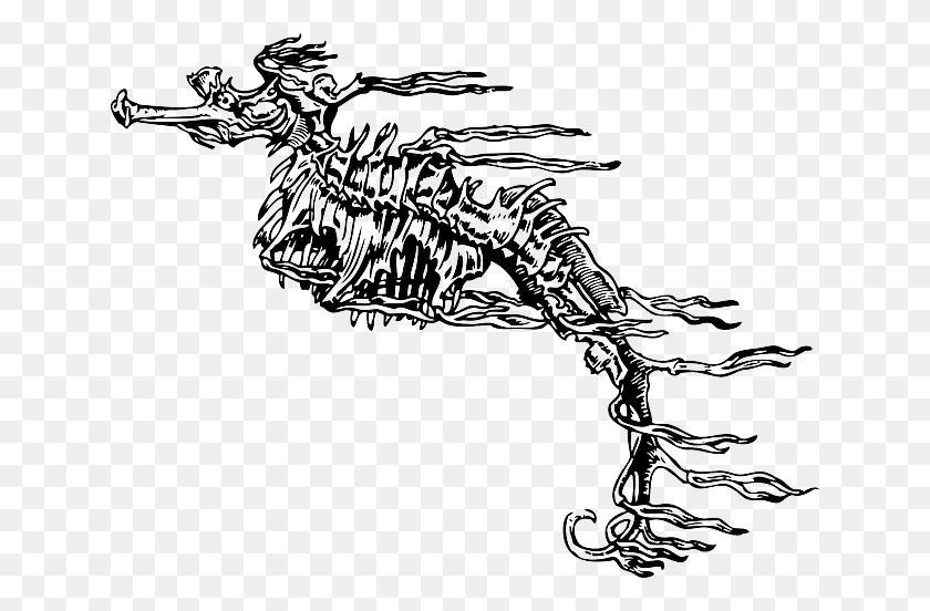 640x492 Dead Cartoon Fish Seahorse Skeleton, Dragon, Dinosaur, Reptile HD PNG Download