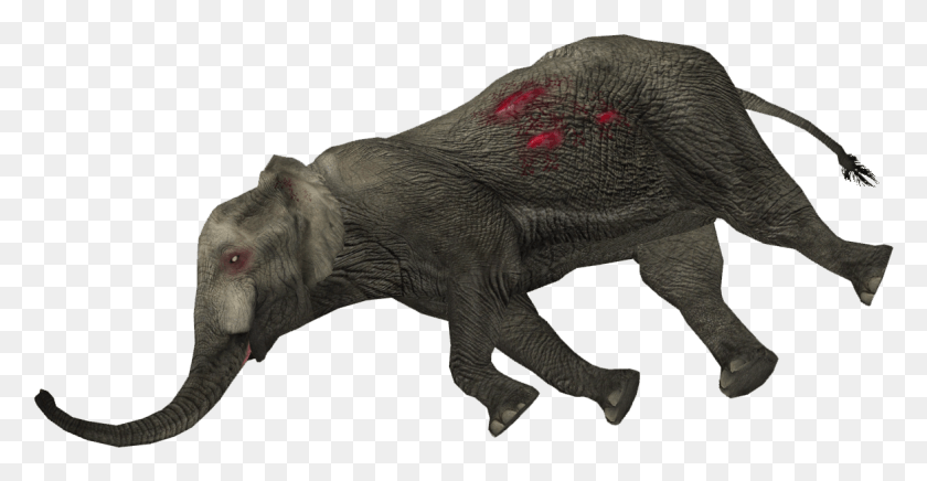 1165x563 Мертвый Слон Мертвое Животное, Дикая Природа, Млекопитающее, Динозавр Hd Png Скачать