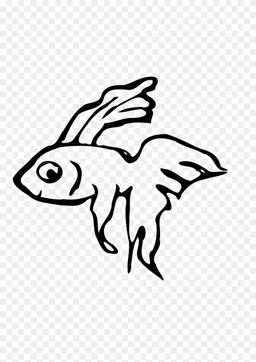 2400x3394 Dead Fish Clipart Gallery Images, Gray Transparent PNG