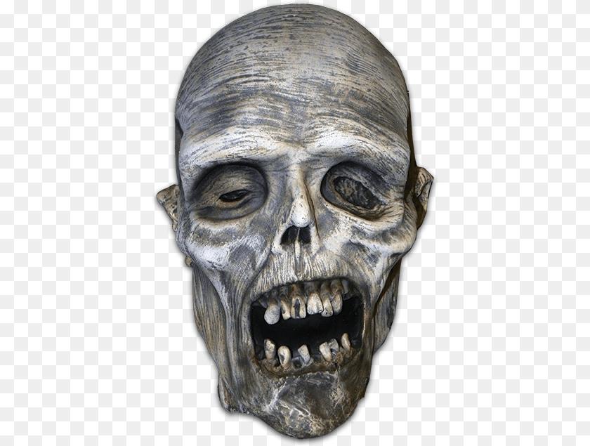 Dead Head Zombie Prop Zombie Head, Adult, Male, Man, Person Transparent PNG