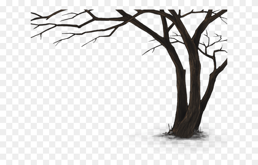 641x477 Мертвое Дерево, Дерево, Растение, Природа Hd Png Скачать
