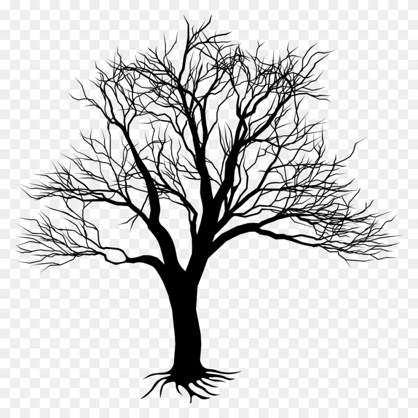 1024x1024 Dead Tree, Outdoors, Nature, Outer Space HD PNG Download
