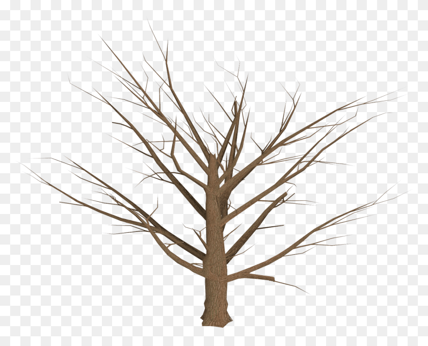 1281x1018 Dead Tree Empty Branches Pixel Dead Tree, Tree, Plant HD PNG Download