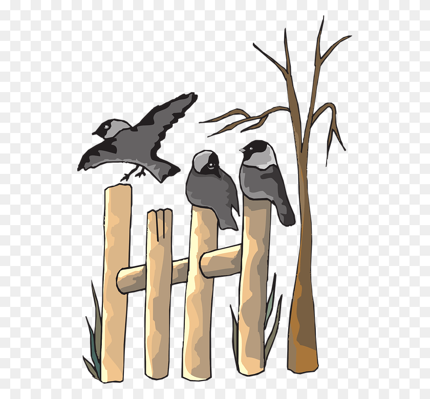 537x720 Dead Wood Tree Birds Flying Fence Bird On The Fence Clipart, Leisure Activities, Penguin, Animal HD PNG Download