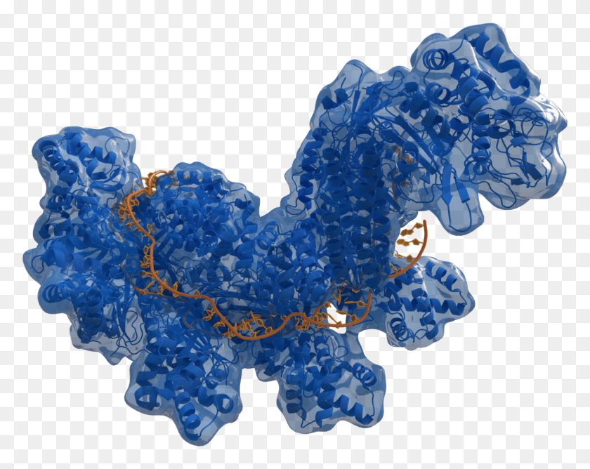 1280x999 Dealing With So Called 39lone Wolf39 Bioterrorism And Cas9 Transparent, Land, Outdoors, Nature HD PNG Download