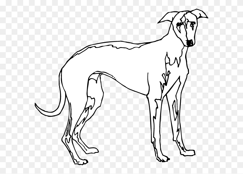 600x541 Decal Options Dog Licks, Great Dane, Pet, Canine HD PNG Download