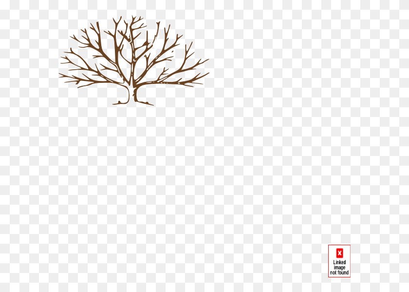 600x539 Лиственное Дерево Нарисуйте Зимнее Дерево, Лист, Растение, Кленовый Лист Hd Png Скачать