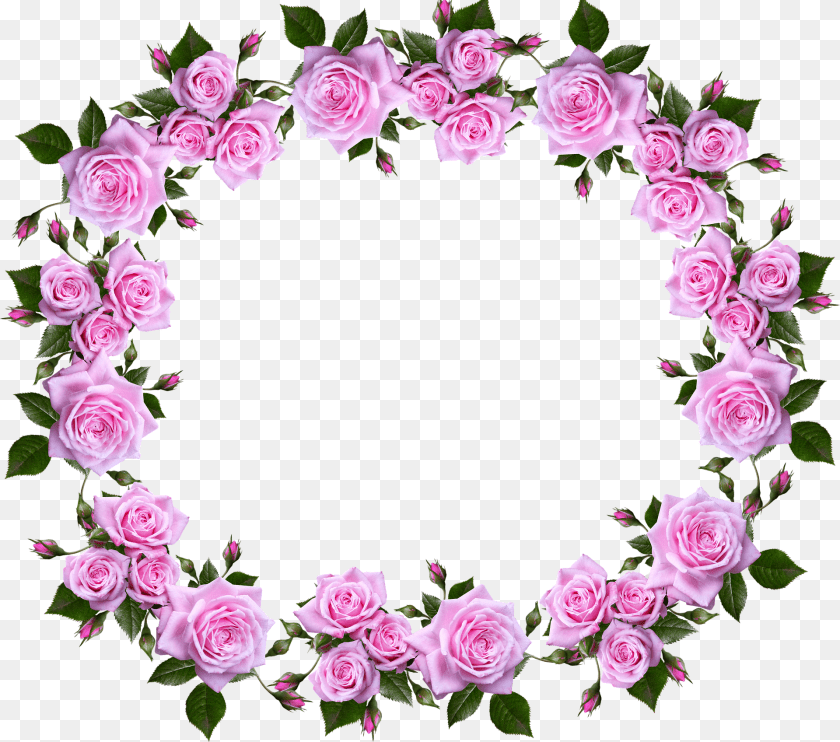 Decorative Border Picture Border Design Rose Flower, Plant, Flower Arrangement, Pattern, Flower Bouquet PNG