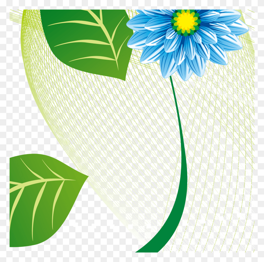 1617x1608 Decorative Leaf Image, Plant, Daisy, Flower HD PNG Download