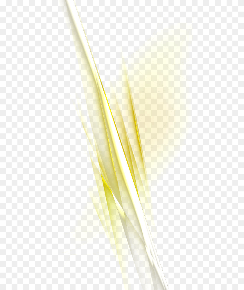 Decorative Light Effect Download Hq Clipart Light, Leaf, Plant, Flower, Petal Sticker PNG