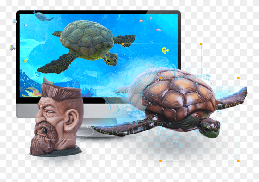 1031x701 Decrease Costs Effectively Gopher Tortoise, Turtle, Reptile, Sea Life HD PNG Download