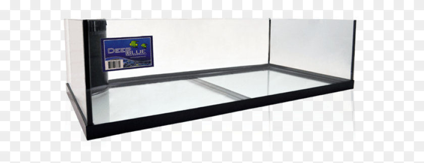 592x263 Deep Blue Professional Rimless Reef Ready 45 Gallon Coffee Table, Furniture, Coffee Table, Tabletop HD PNG Download