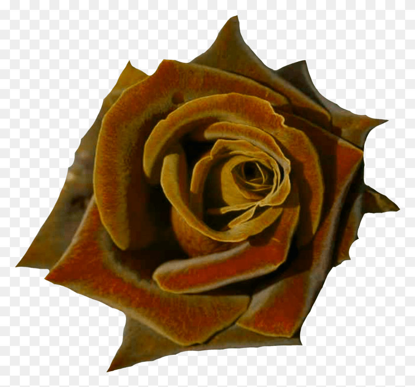 Deep Red Rose, Rose, Flower, Plant Descargar HD PNG