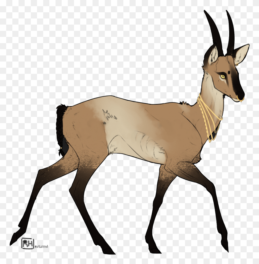 1674x1714 Deer, Antelope, Wildlife, Mammal HD PNG Download