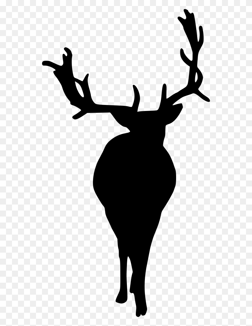 560x1024 Deer, Gray, World Of Warcraft HD PNG Download