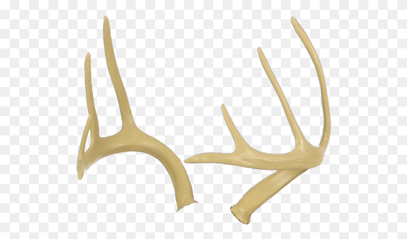 528x434 Deer Antlers Antler, Scissors, Blade, Weapon HD PNG Download