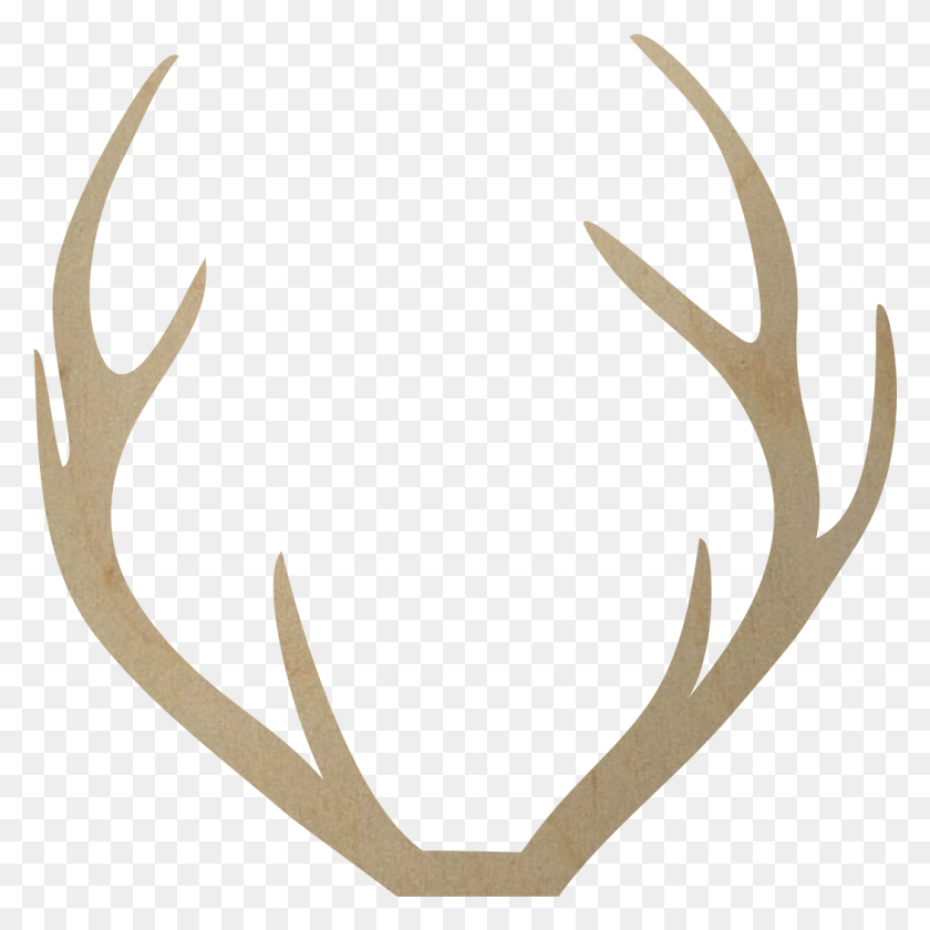 1051x1051 Deer Antlers Deer Antler Cutouts, Antelope, Wildlife, Mammal HD PNG Download