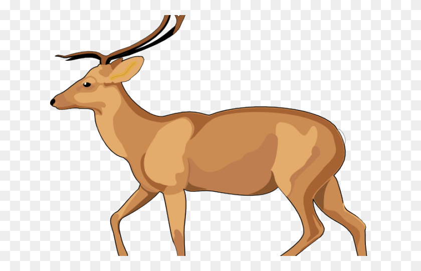 640x480 Deer Clipart Antelope Debden Park High School, Wildlife, Mammal, Animal HD PNG Download