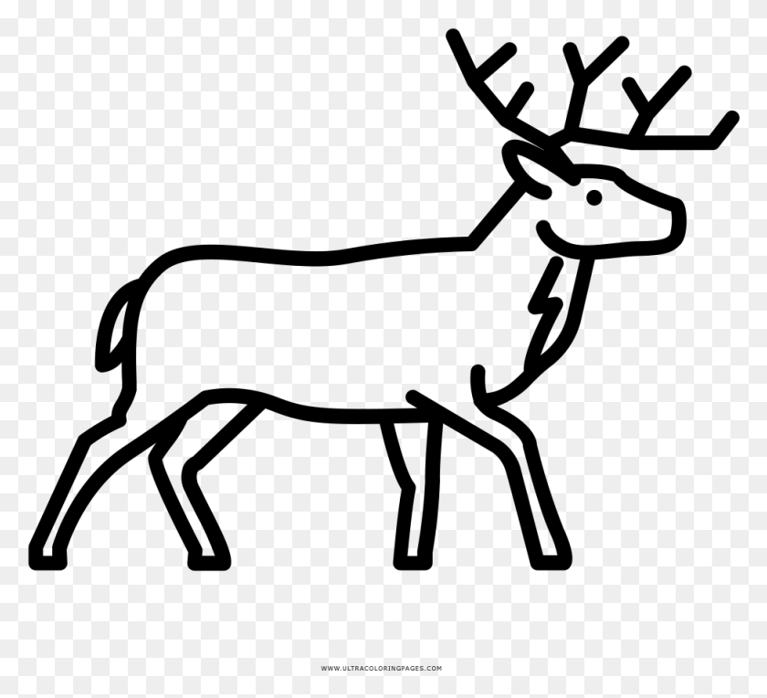 977x882 Deer Coloring, Gray, World Of Warcraft HD PNG Download