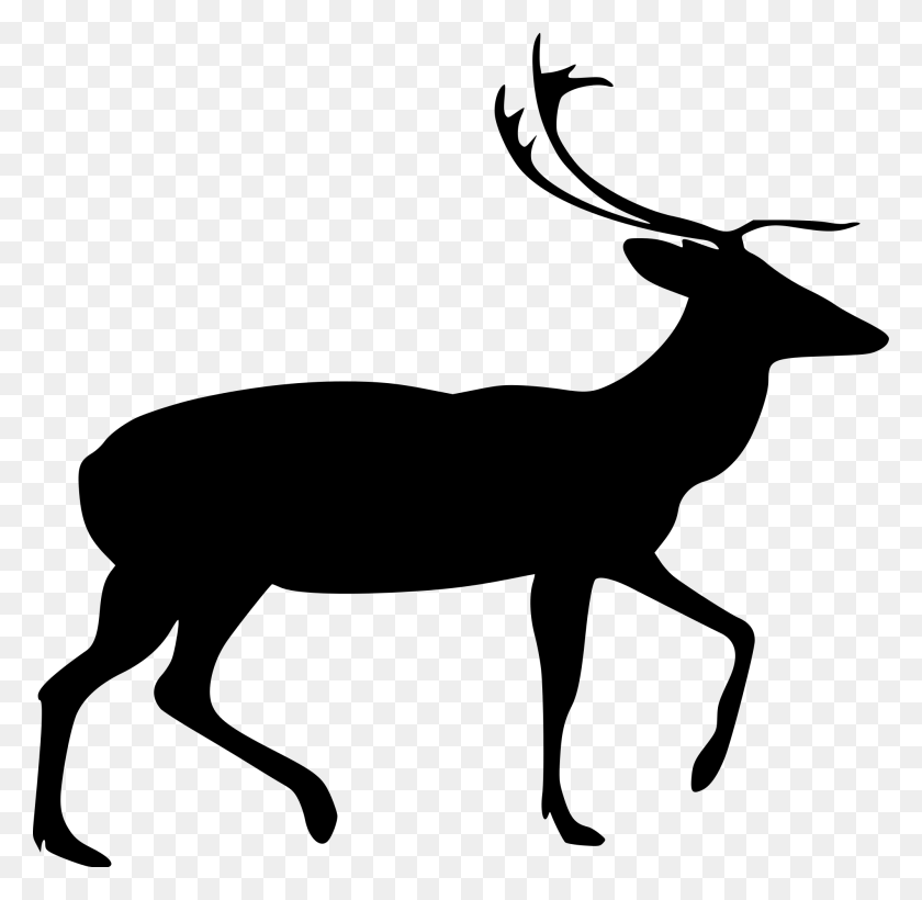 2000x1951 Deer Drawing Line Art Computer Icons Stag Clipart, Gray, World Of Warcraft HD PNG Download