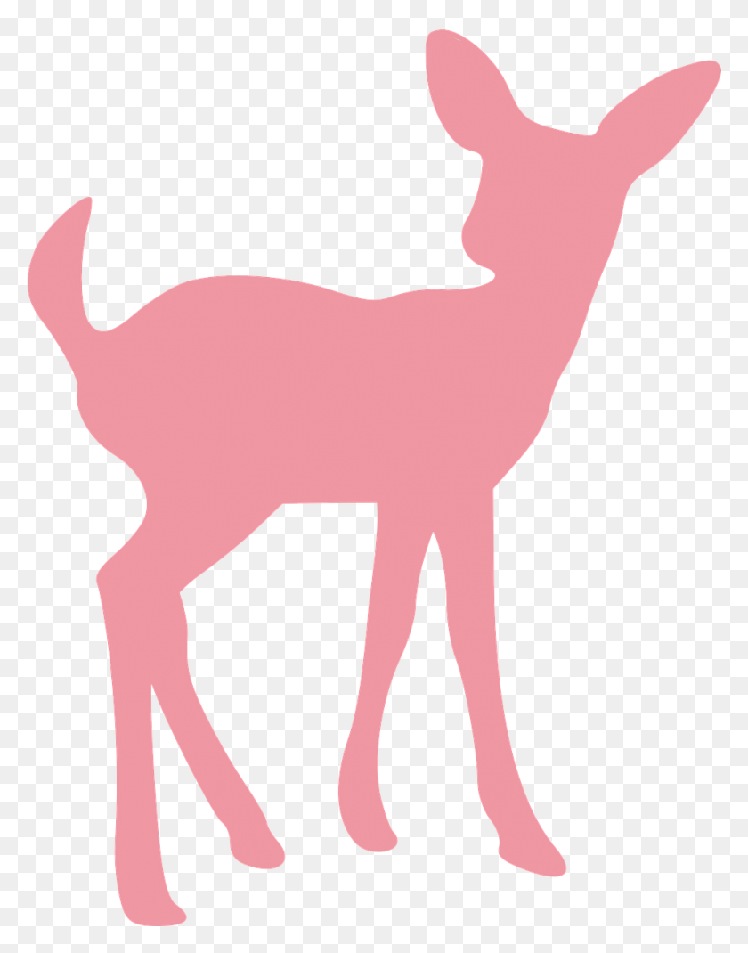 943x1222 Deer Fawn Wildlife Free Vector Baby Deer, Mammal, Animal, Horse HD PNG Download