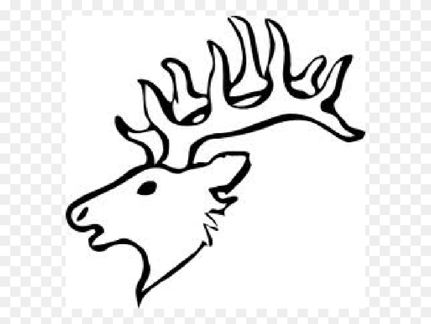 585x573 Deer Head For Scroll Saw Pattern Simple Elk Head Drawing, Antler, Deer, Wildlife HD PNG Download