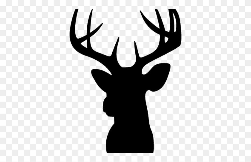 377x481 Deer Head Silhouette Cricut, Stencil, Person HD PNG Download