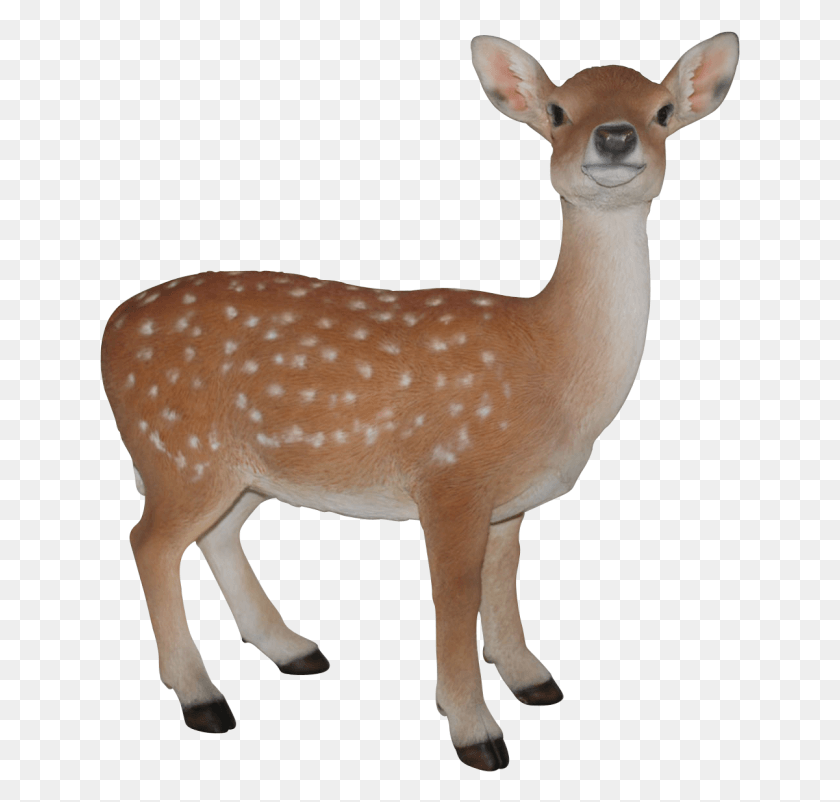 642x742 Deer Head Stencil Fallow And Roe Deer Vector, Wildlife, Mammal, Animal HD PNG Download