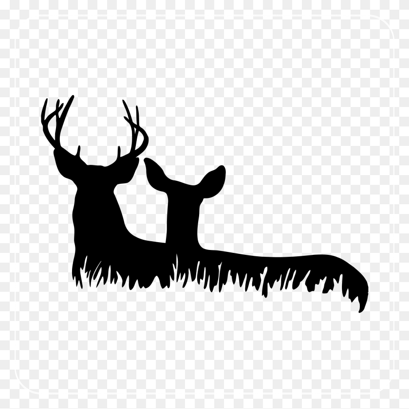 2089x2093 Deer Heads In Grass Decal Deer Head Silhouette, Antelope, Wildlife HD PNG Download