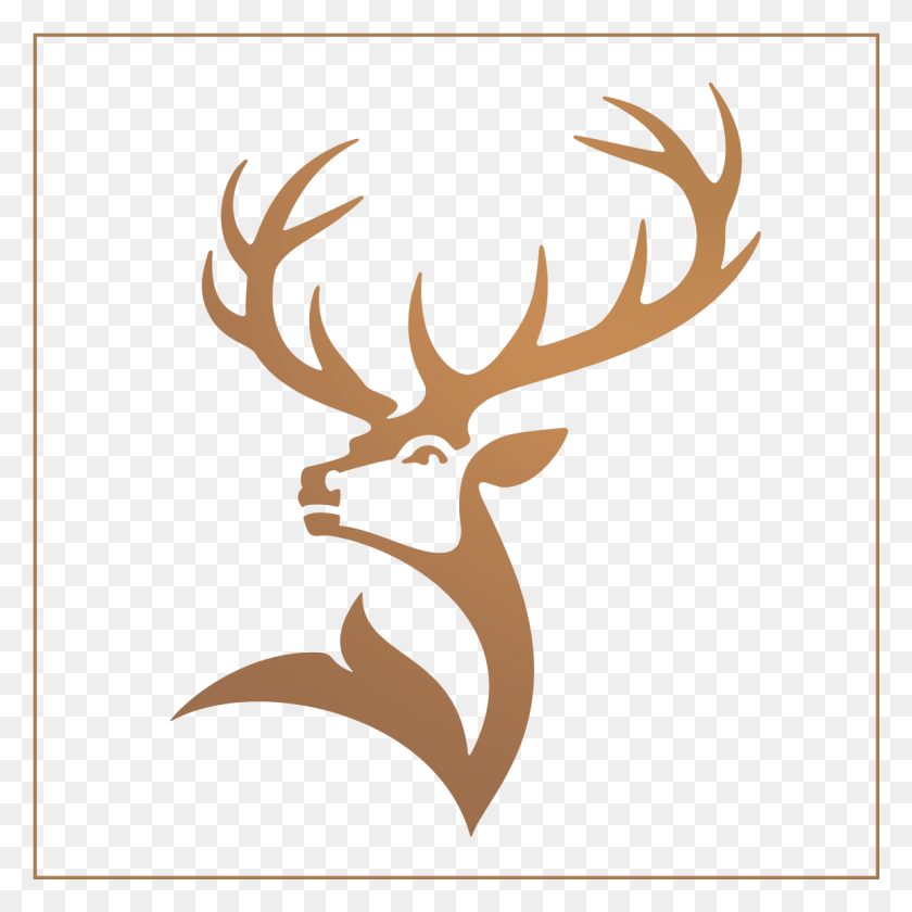 1153x1153 Deer Logo Photo Glenfiddich Logo, Antler, Elk, Wildlife HD PNG Download