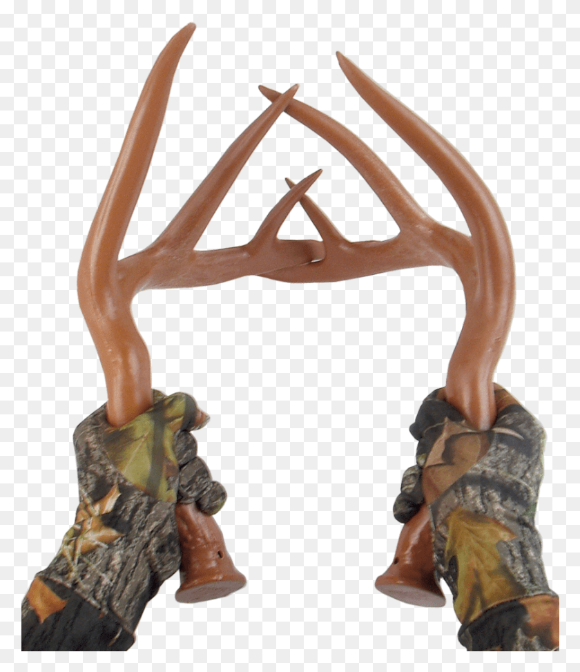 841x985 Deer Rattling Antlers, Antler, Person, Human HD PNG Download