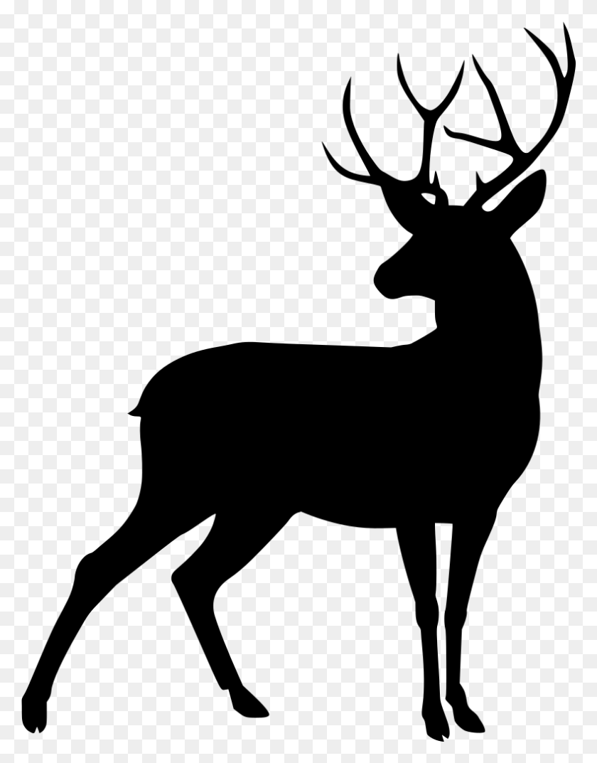 788x1024 Deer Silhouette, Gray, World Of Warcraft HD PNG Download
