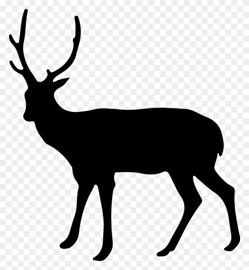 1502x1640 Deer Silhouette Graphics Transparent Deer Silhouette, Gray, World Of Warcraft HD PNG Download